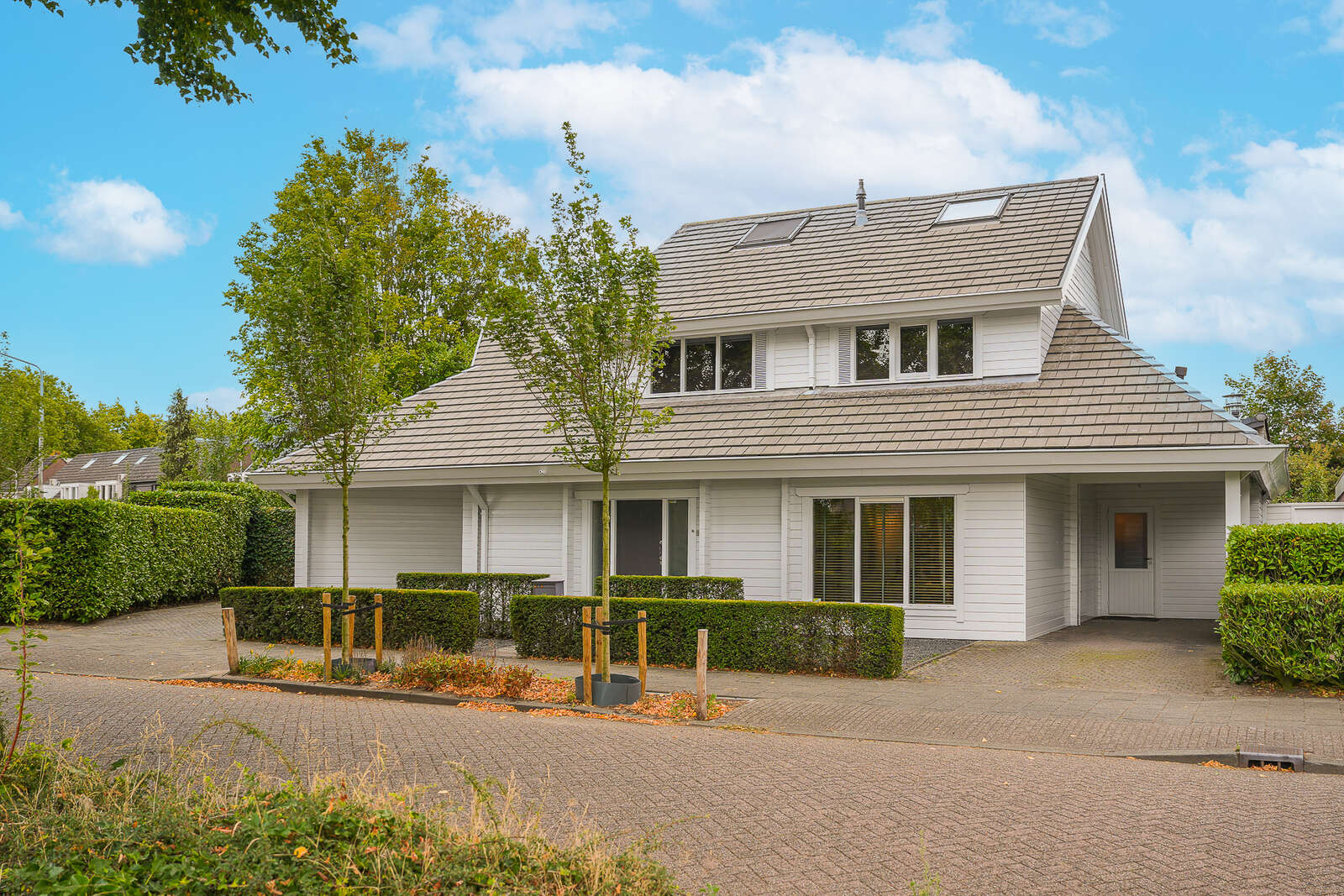 Van Hogendorplaan 15, villa VLIJMEN